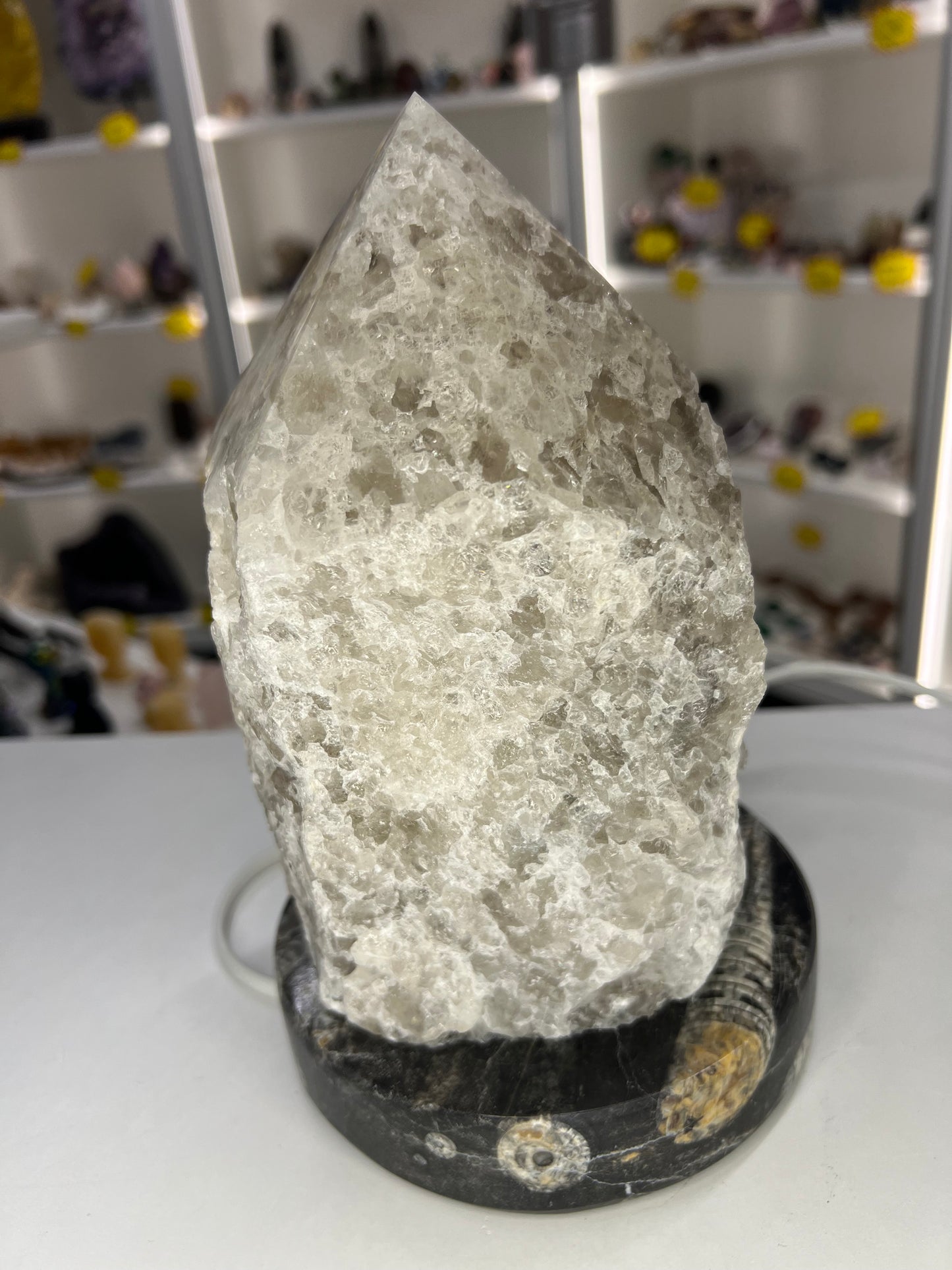 Smoky Quartz Point Lamp on Fossil Orthoceras Base