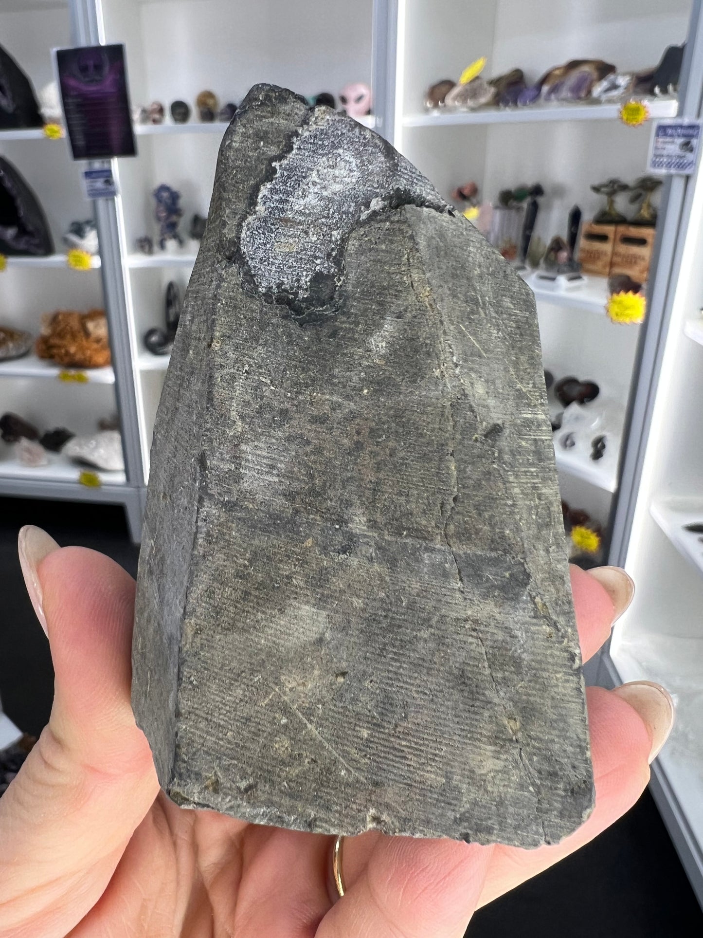 Amethyst Cluster Specimen