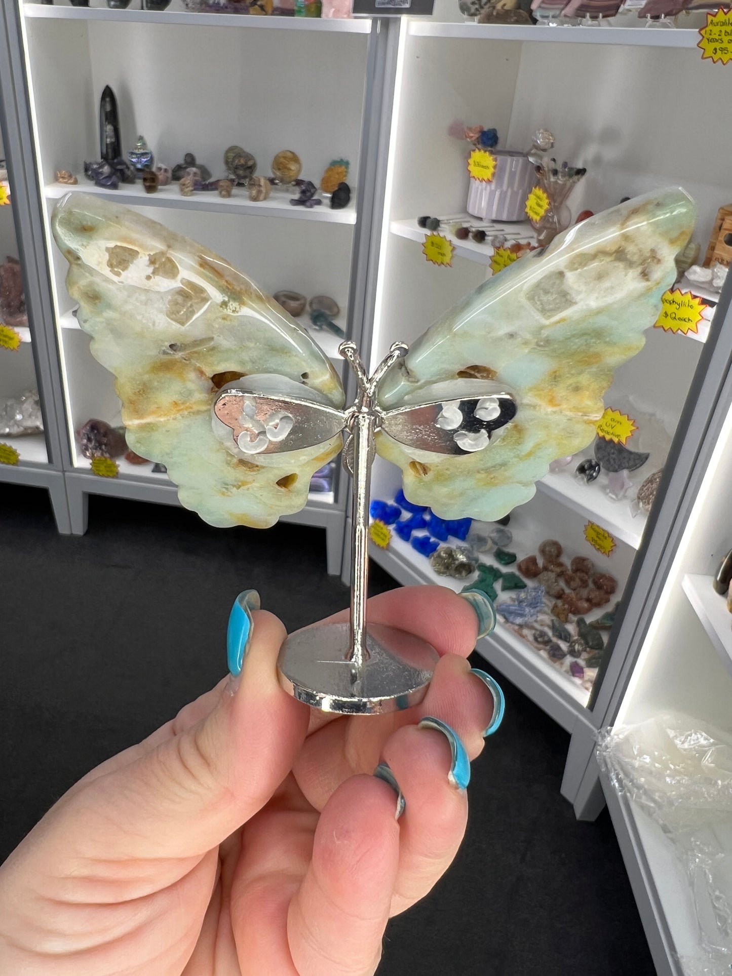 Caribbean Calcite Butterfly