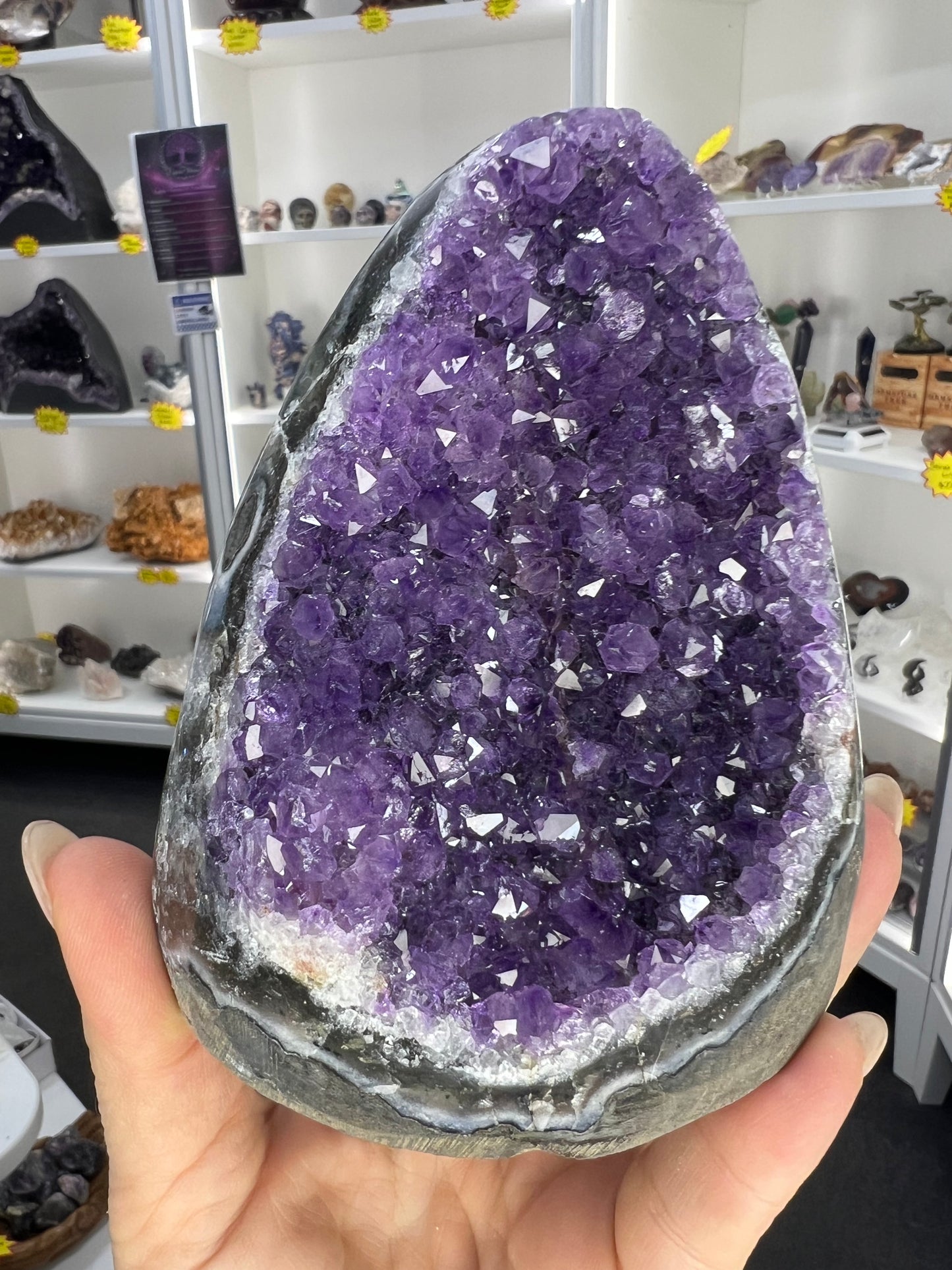 Amethyst Cluster Specimen