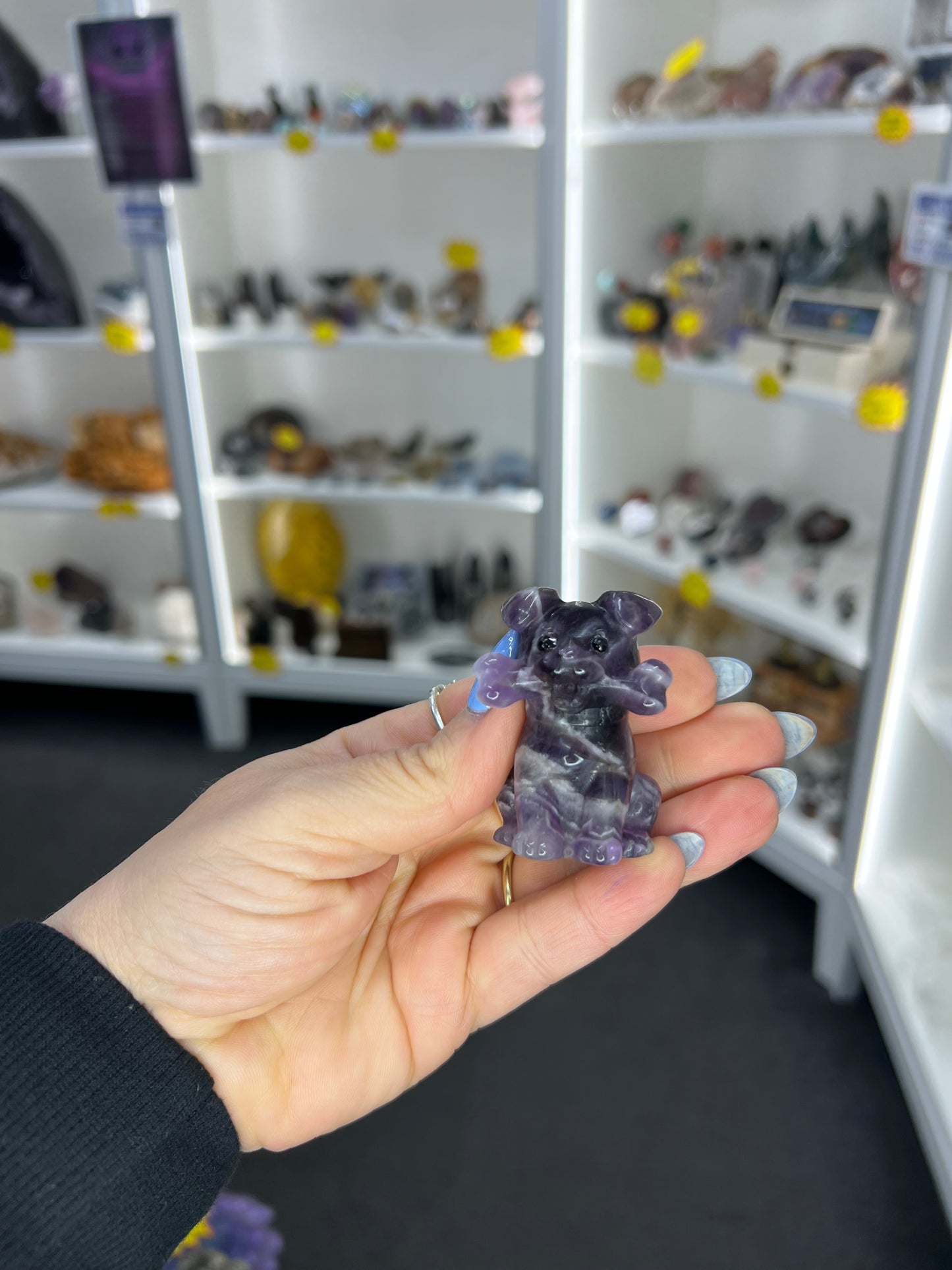 Amethyst Dog with Bone