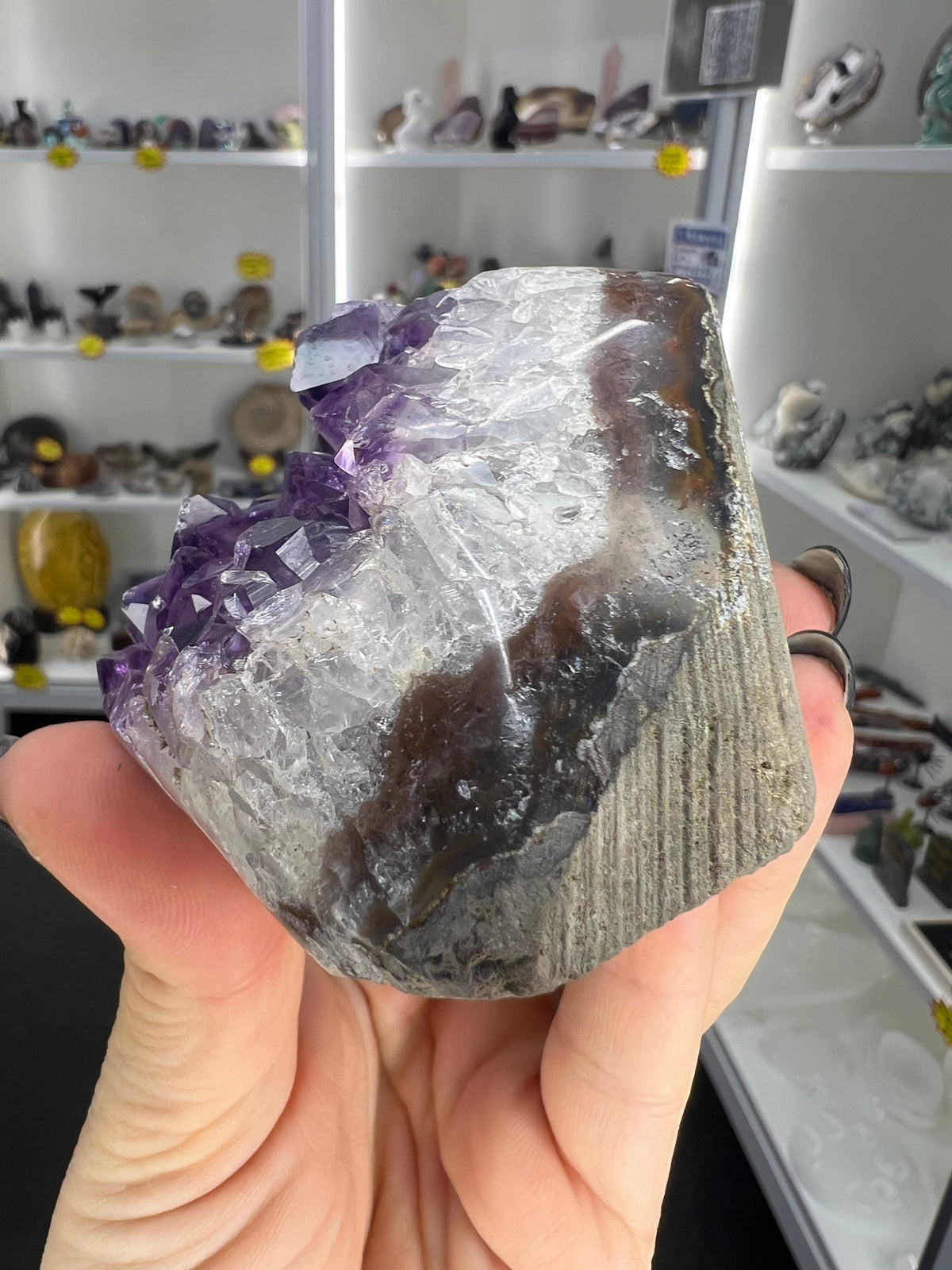 Amethyst Cluster Specimen