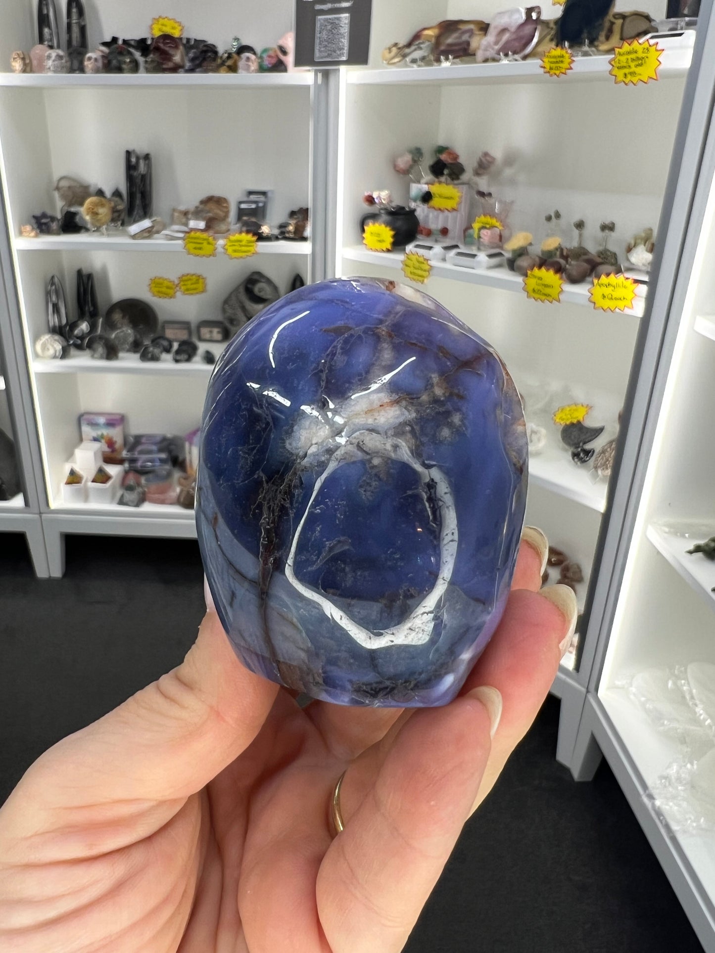 Blue Flower Agate Skull