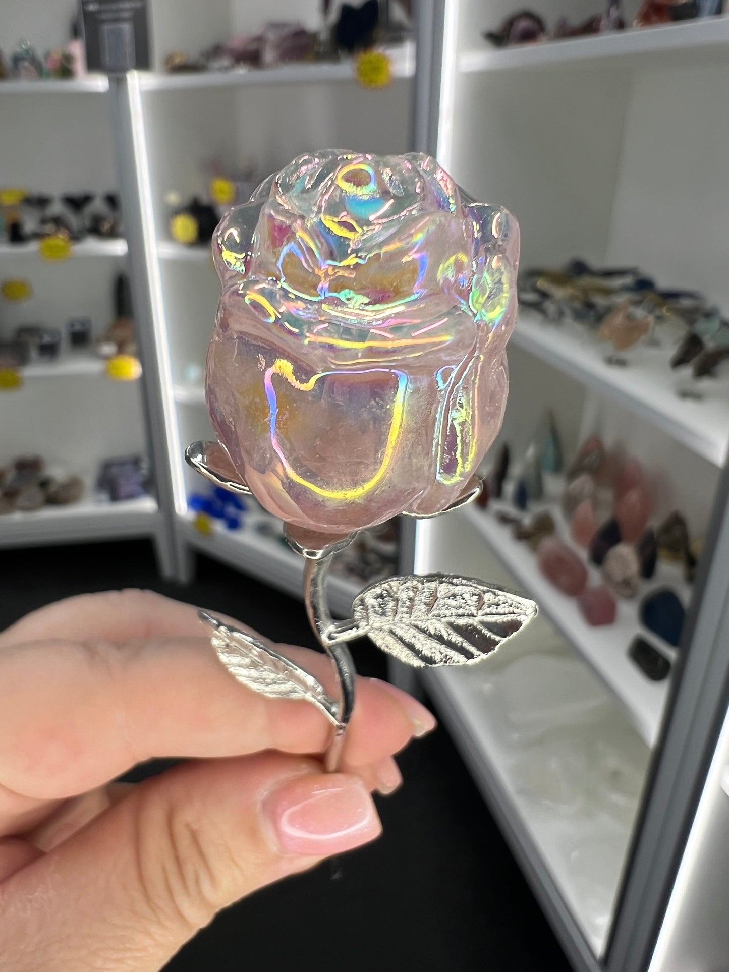 Aura Rose Quartz Forever Rose
