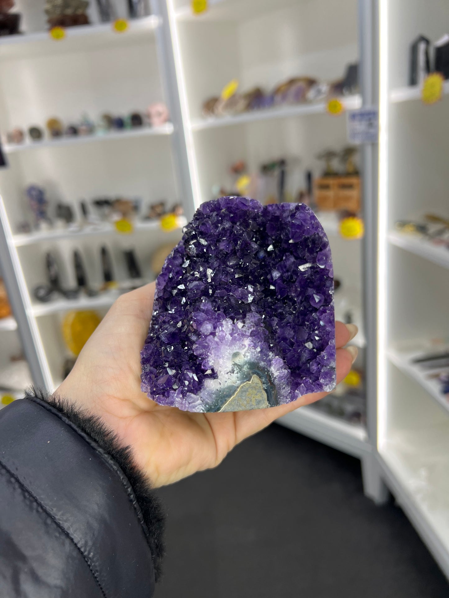 Amethyst Cluster Specimen