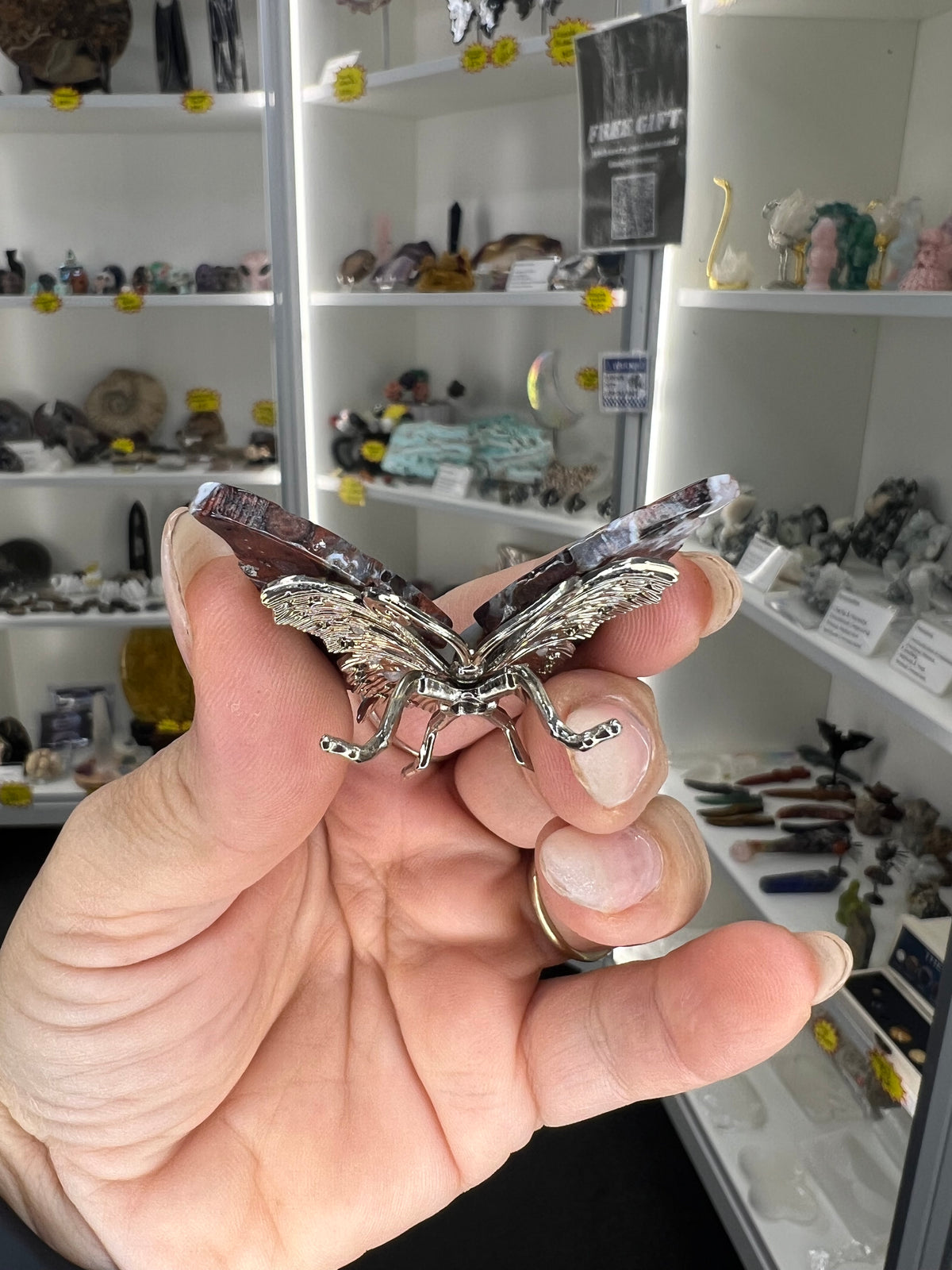 Mexican Lace Agate Butterfly