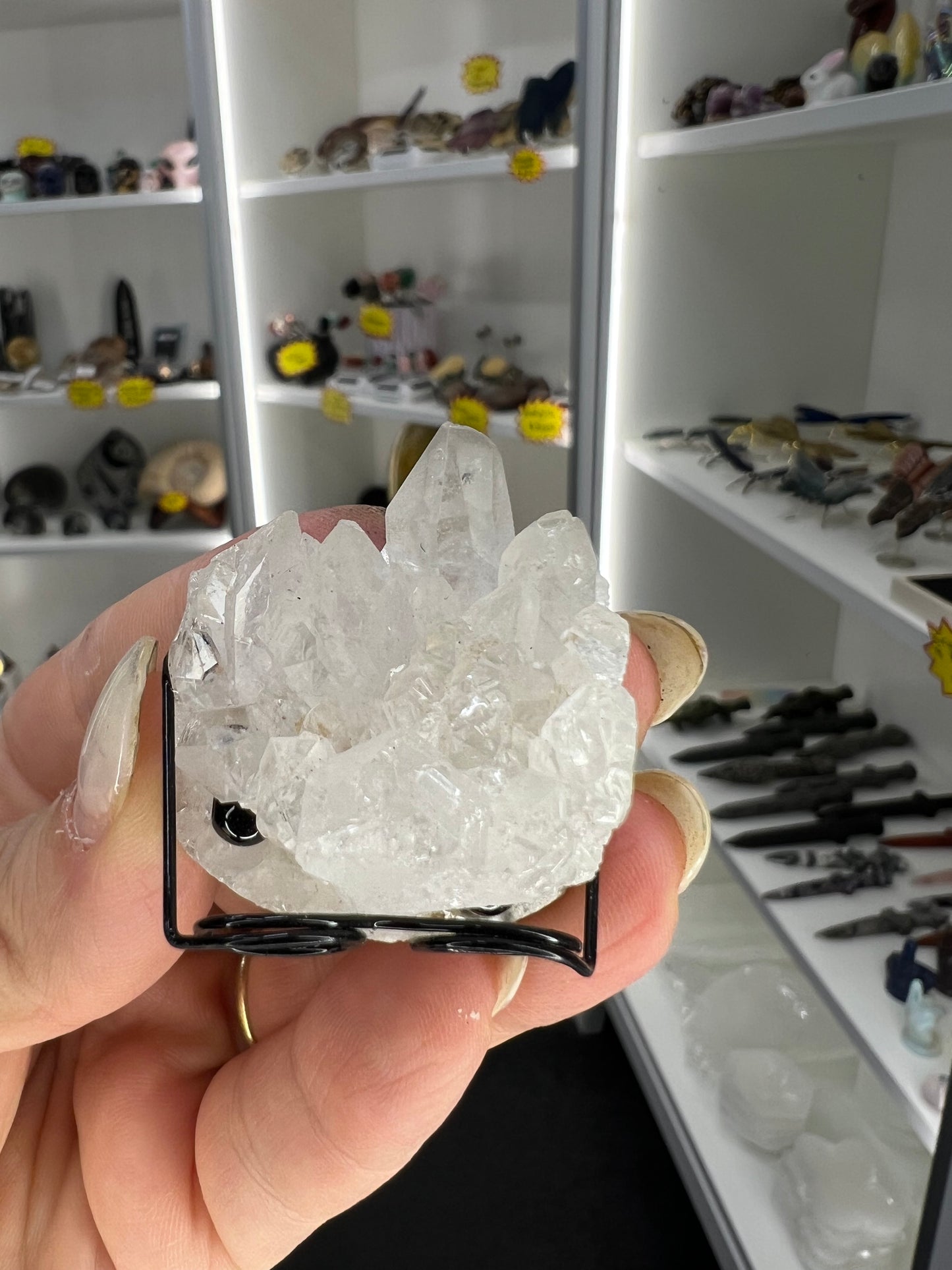 Clear Quartz Cluster Little Guy