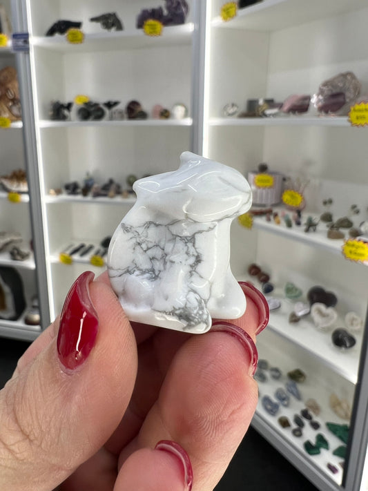 Howlite Toothless