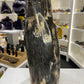 Huge Petrified Wood