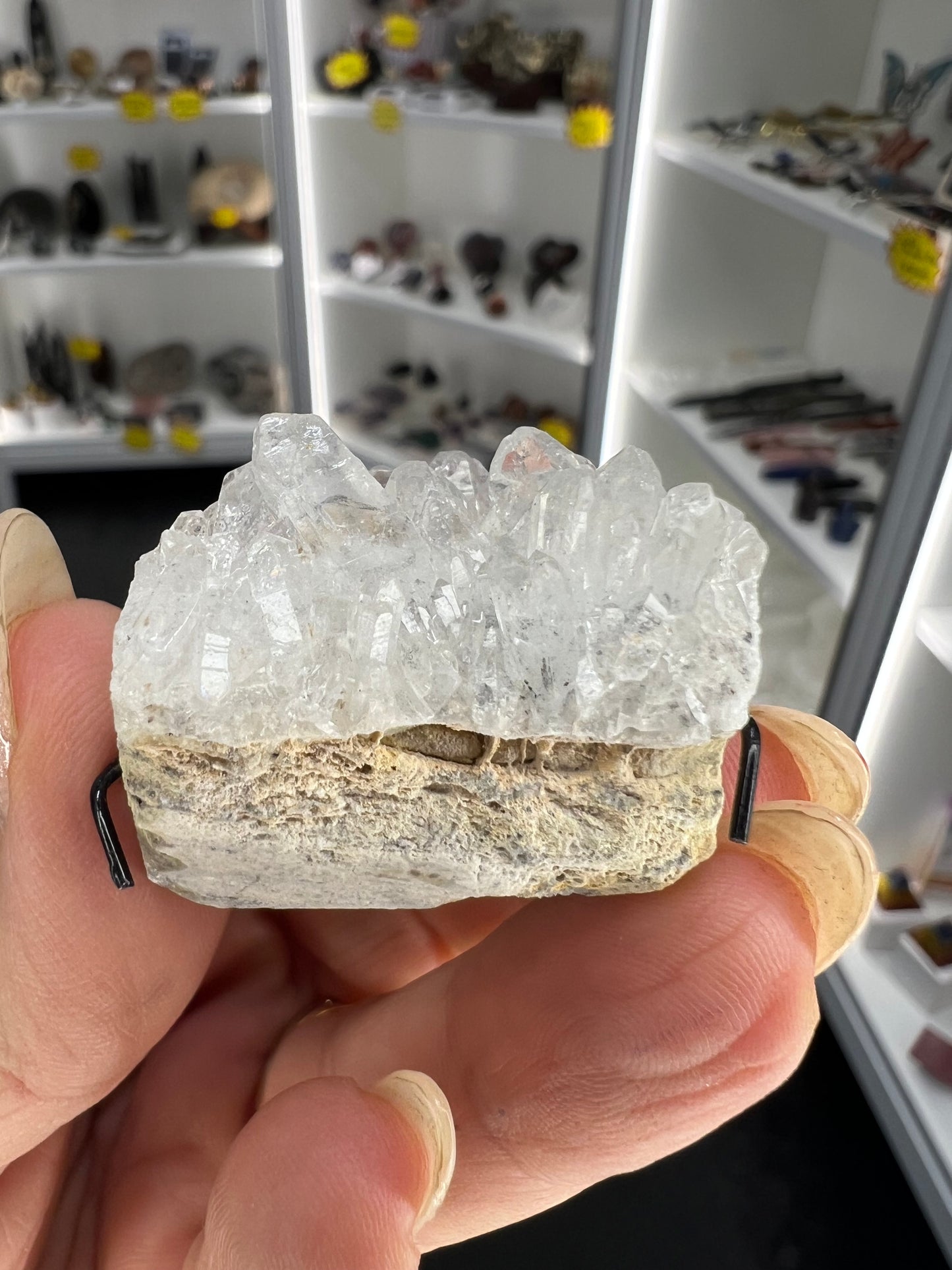 Clear Quartz Cluster Little Guy