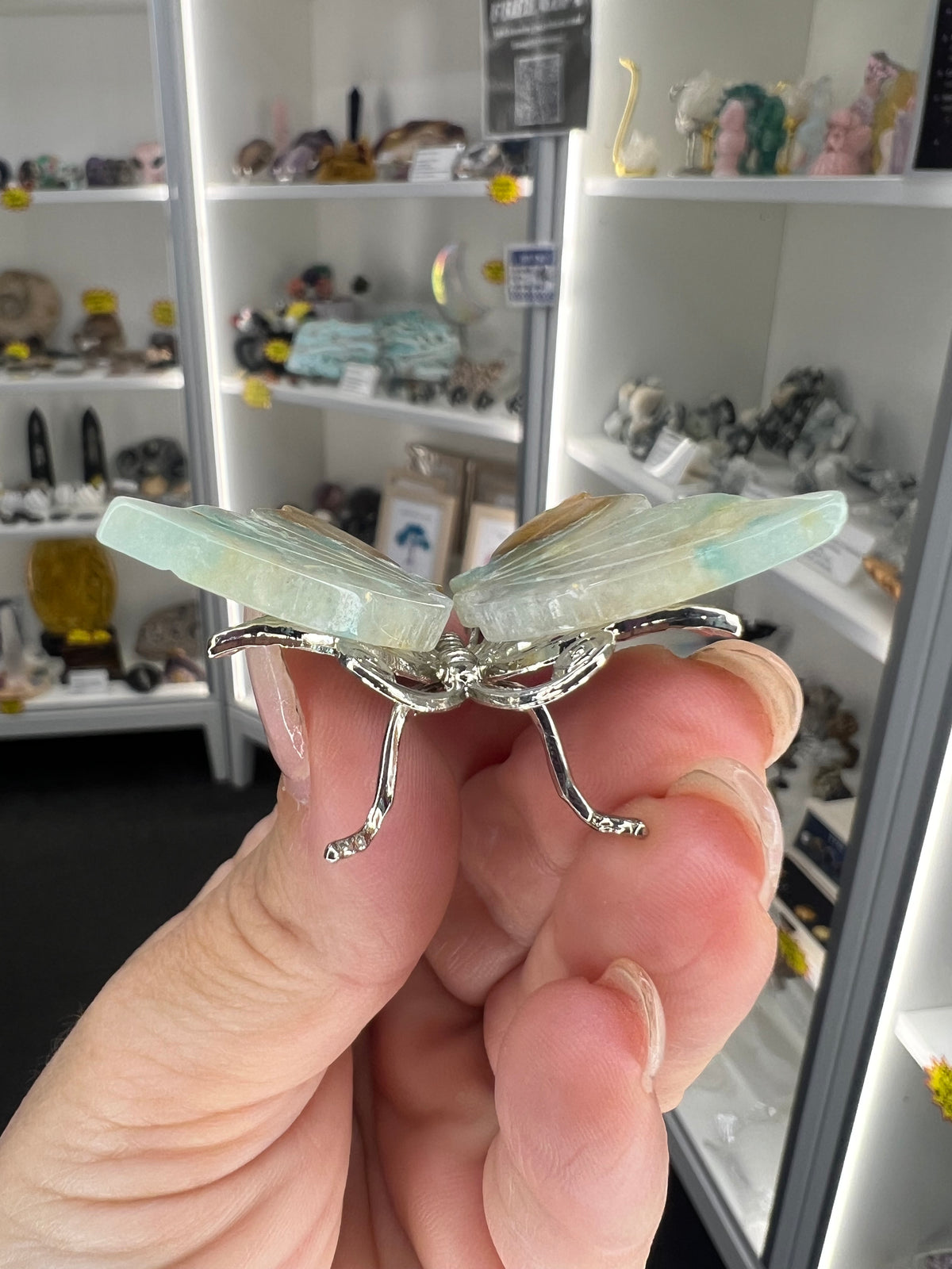 Caribbean Calcite Butterfly