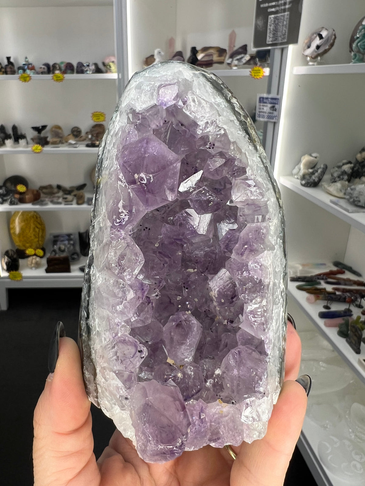 Amethyst Cluster Specimen