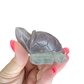 Fluorite Turtle
