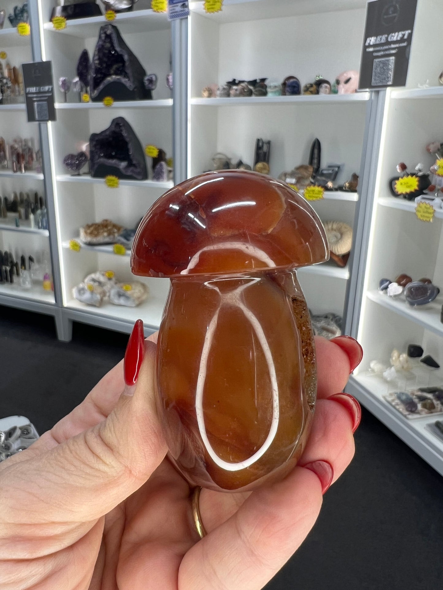 Carnelian Mushroom