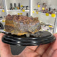 Boulder Opal with Dinosaur