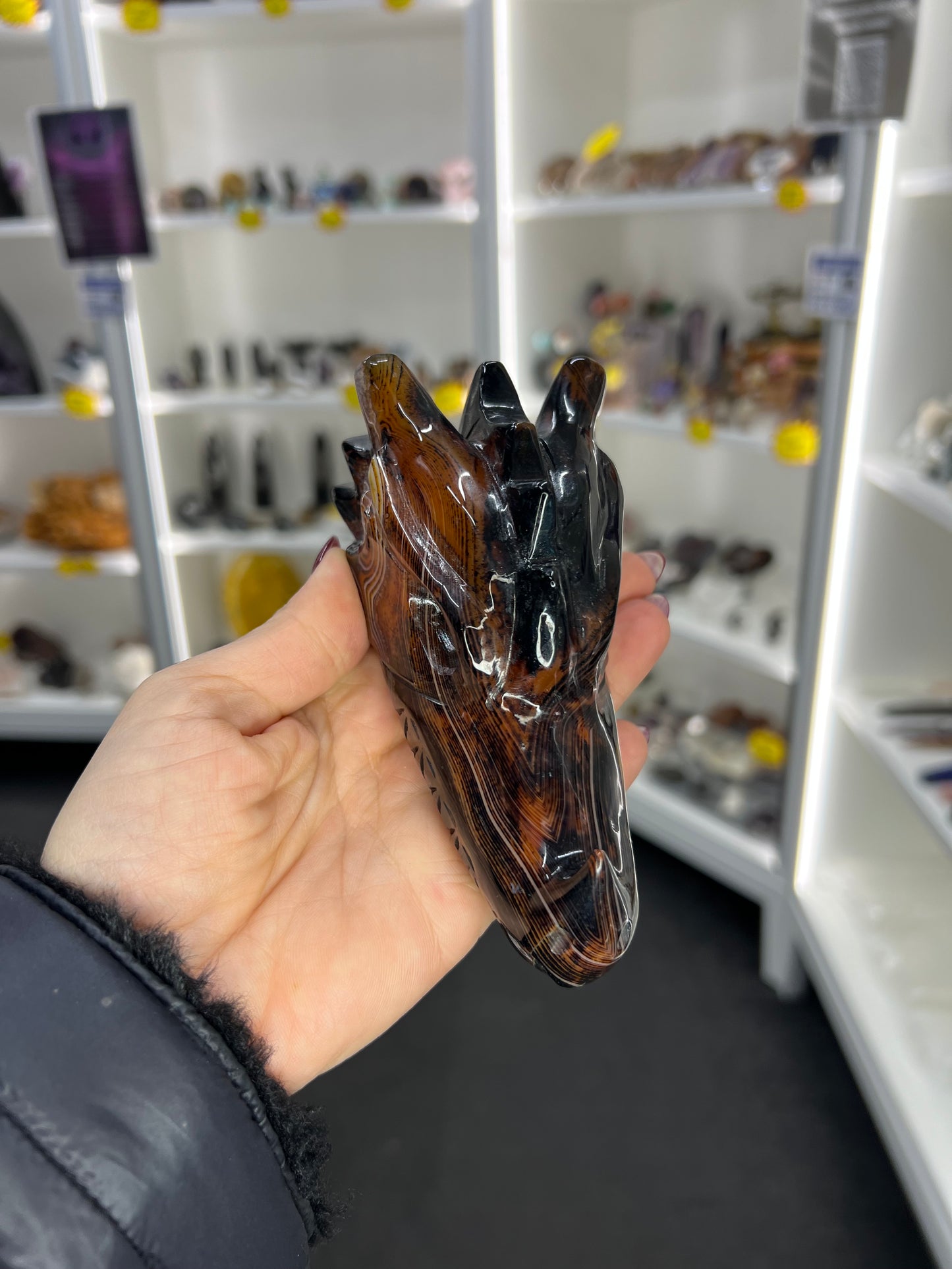 Sardonyx Dragon Skull