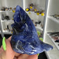 Sodalite Bird
