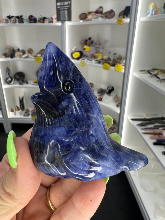 Sodalite Bird