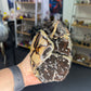 Septarian Freeform