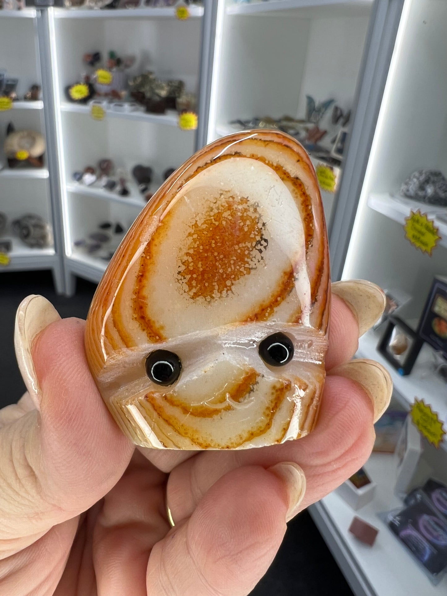 Sardonyx Little Guy