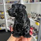 Black Obsidian Dog