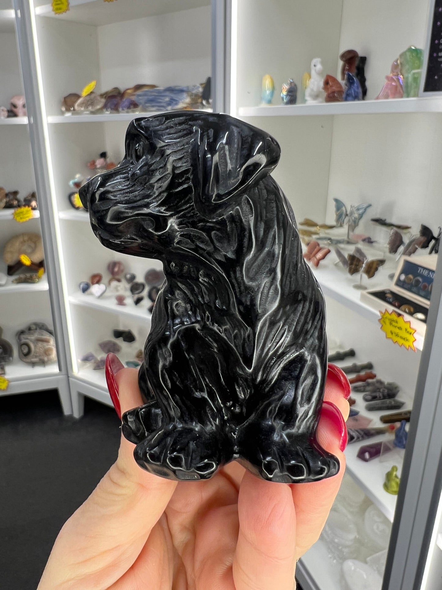 Black Obsidian Dog