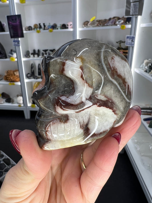 Caribbean Calcite Skull