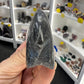 Gonatite Fossil