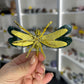 Moss Agate Dragonfly