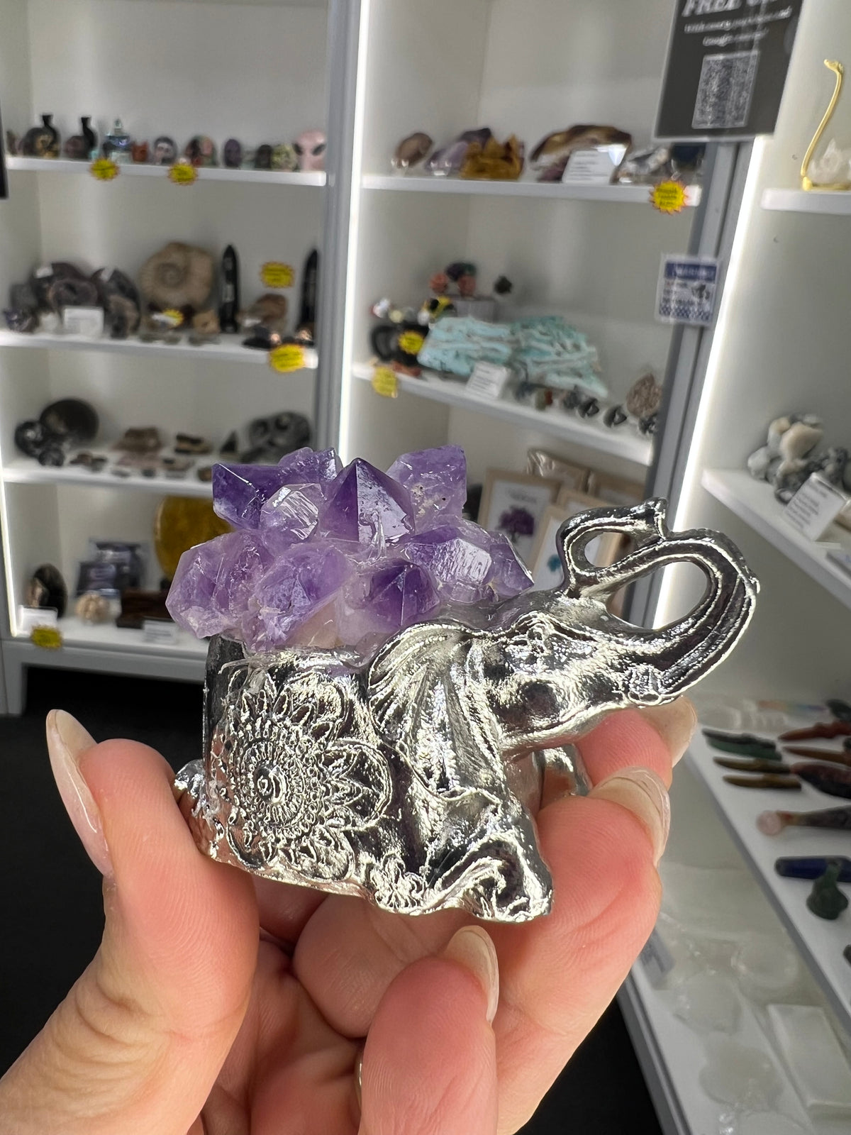 Amethyst Cluster on Silver Elephant