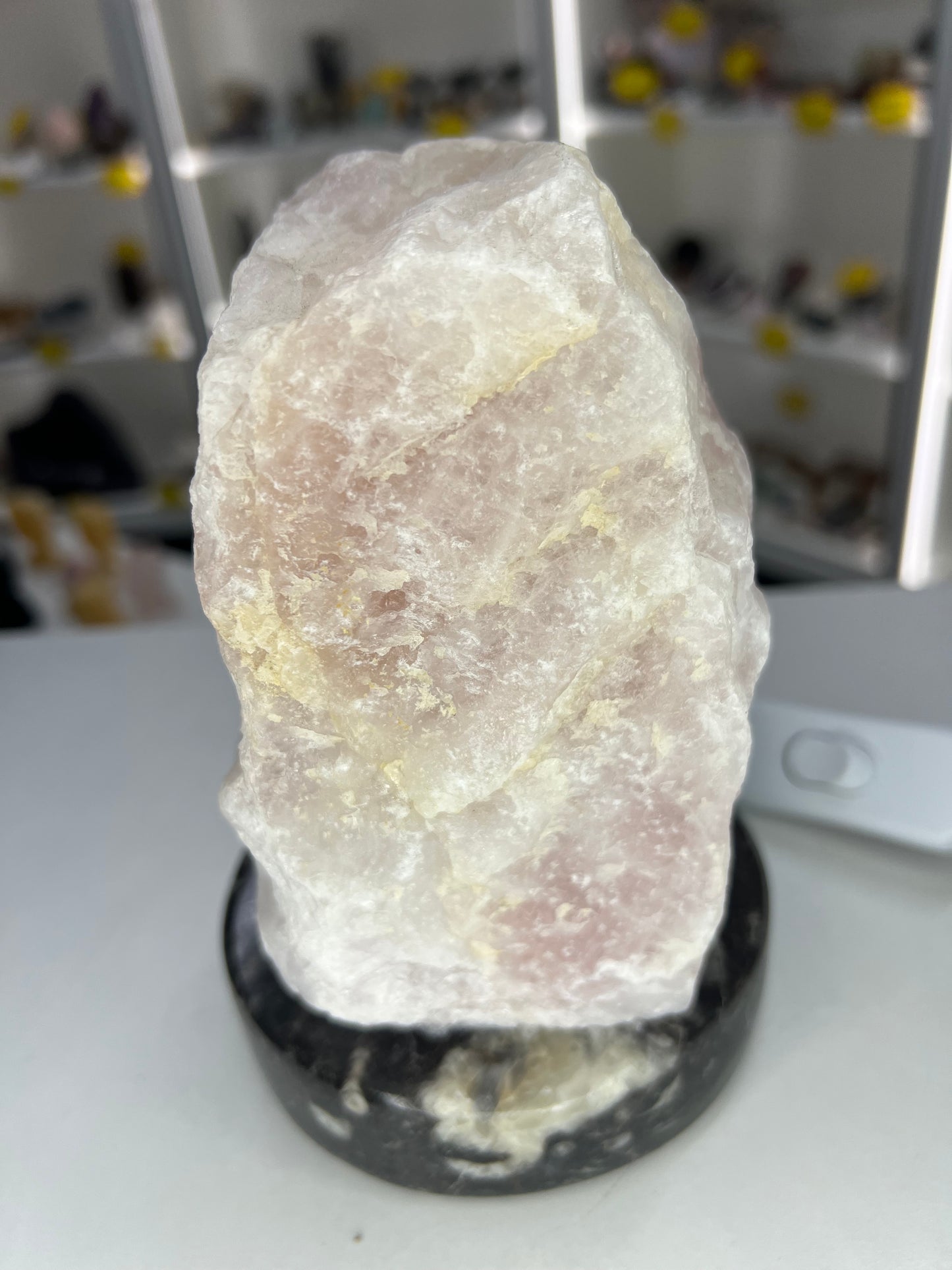 Rose Quartz Lamp on Fossil Orthoceras Base