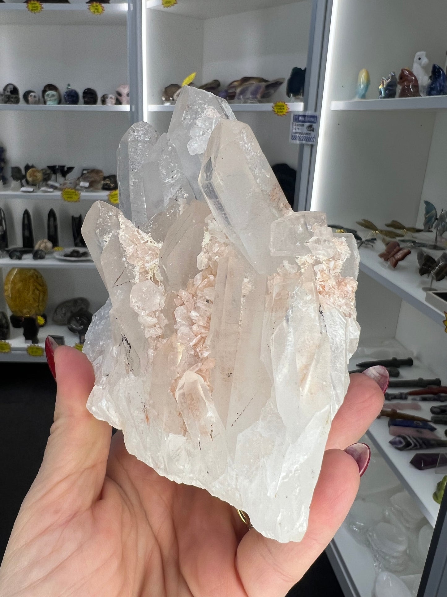 Clear Quartz Cluster