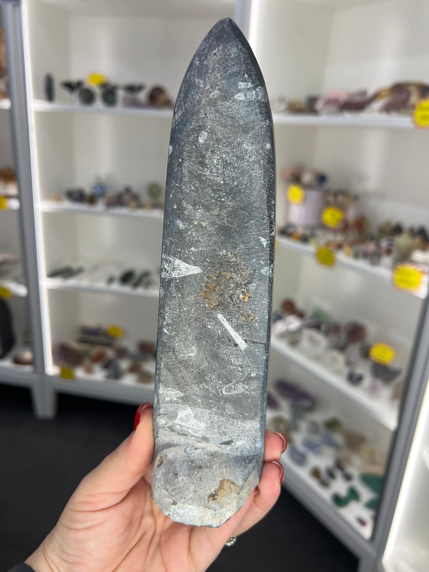 Orthoceras Totem