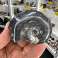 Gonatite Fossil