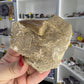 Monasaur Tooth in Matrix