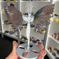 Ocean Jasper Butterfly