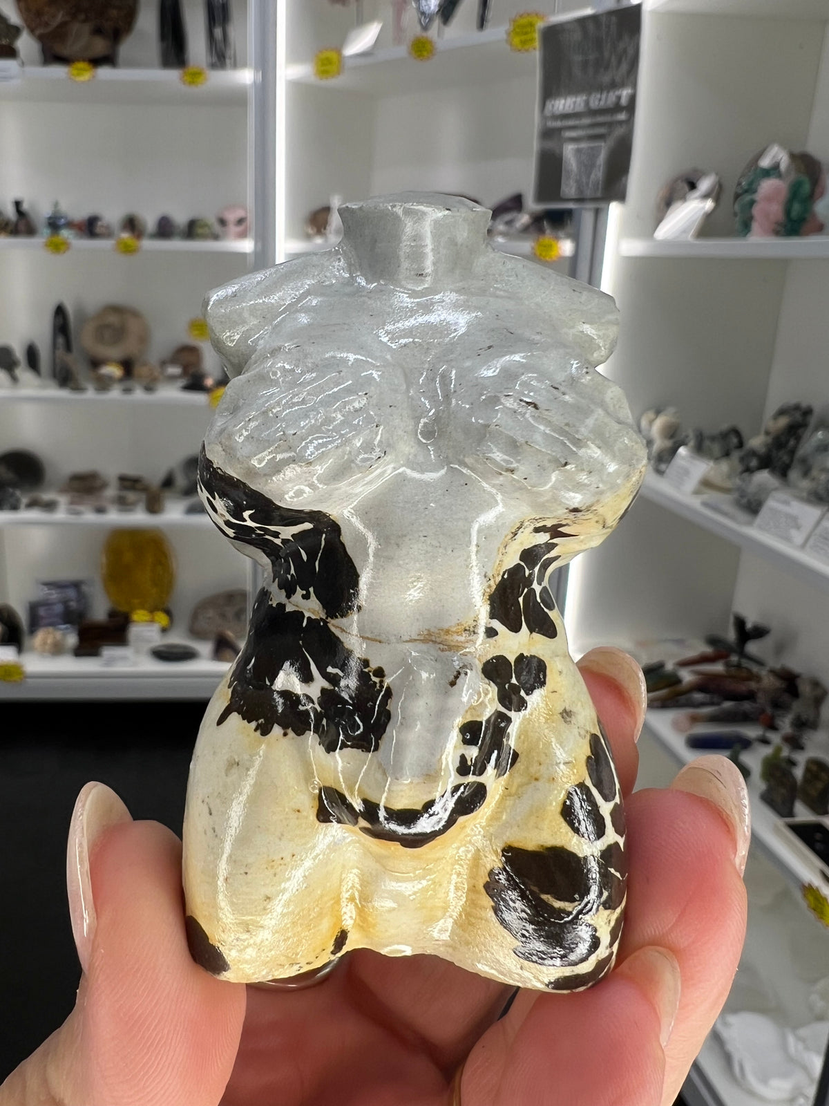 Picture Jasper Lady Torso