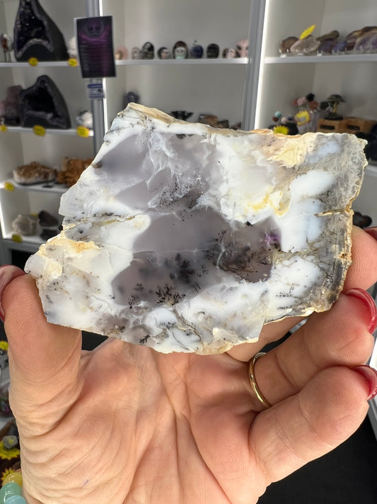 Dendritic Opal Slice