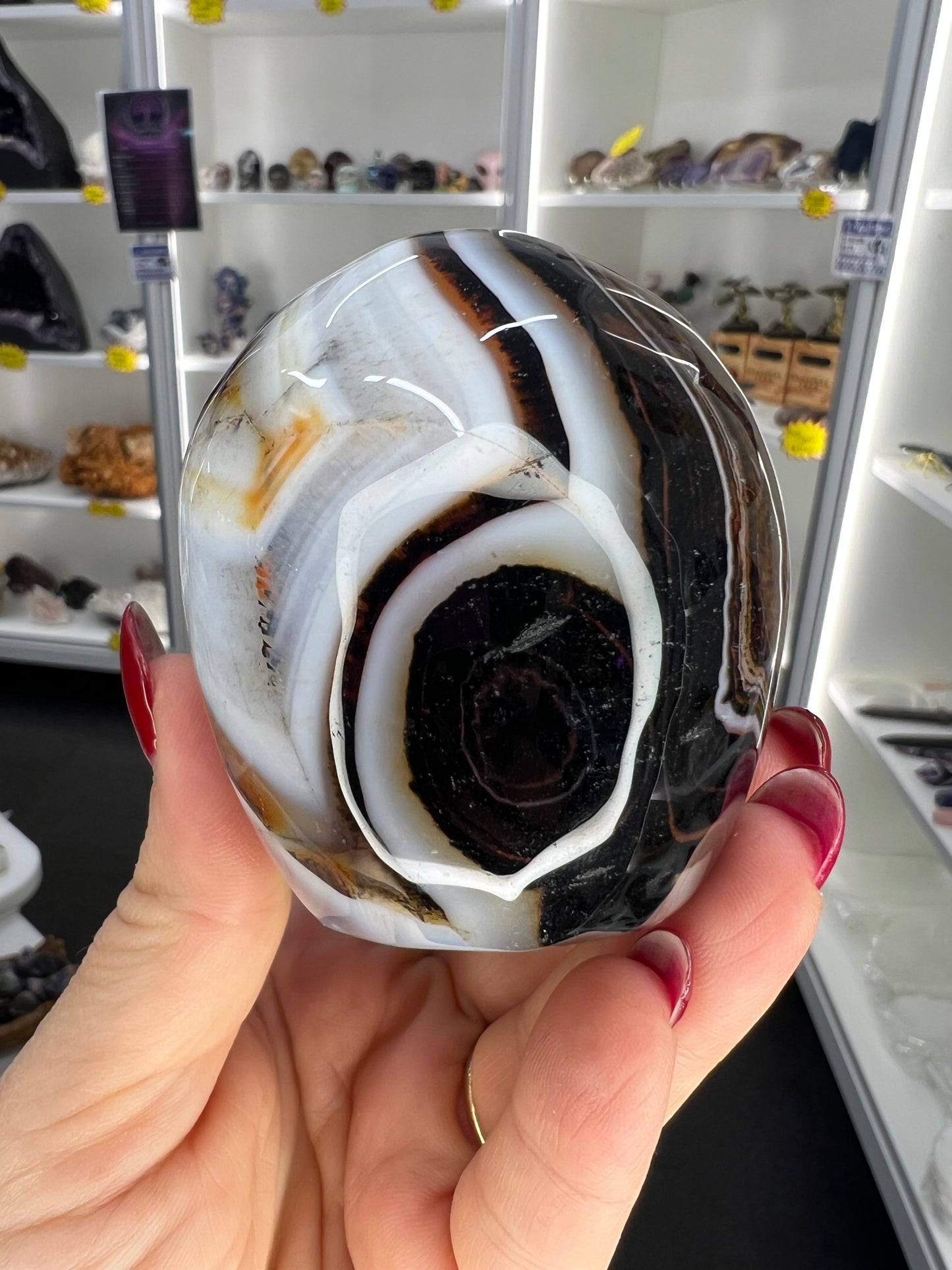 Sardonyx Skull