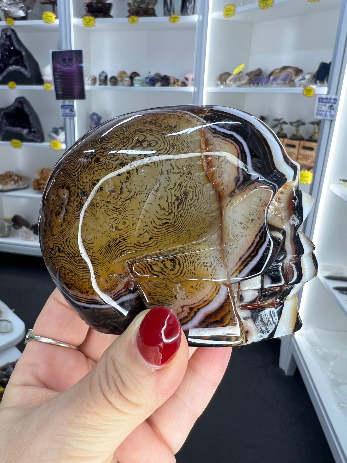 Sardonyx Skull