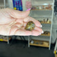 Tigers Eye Millennium Falcon