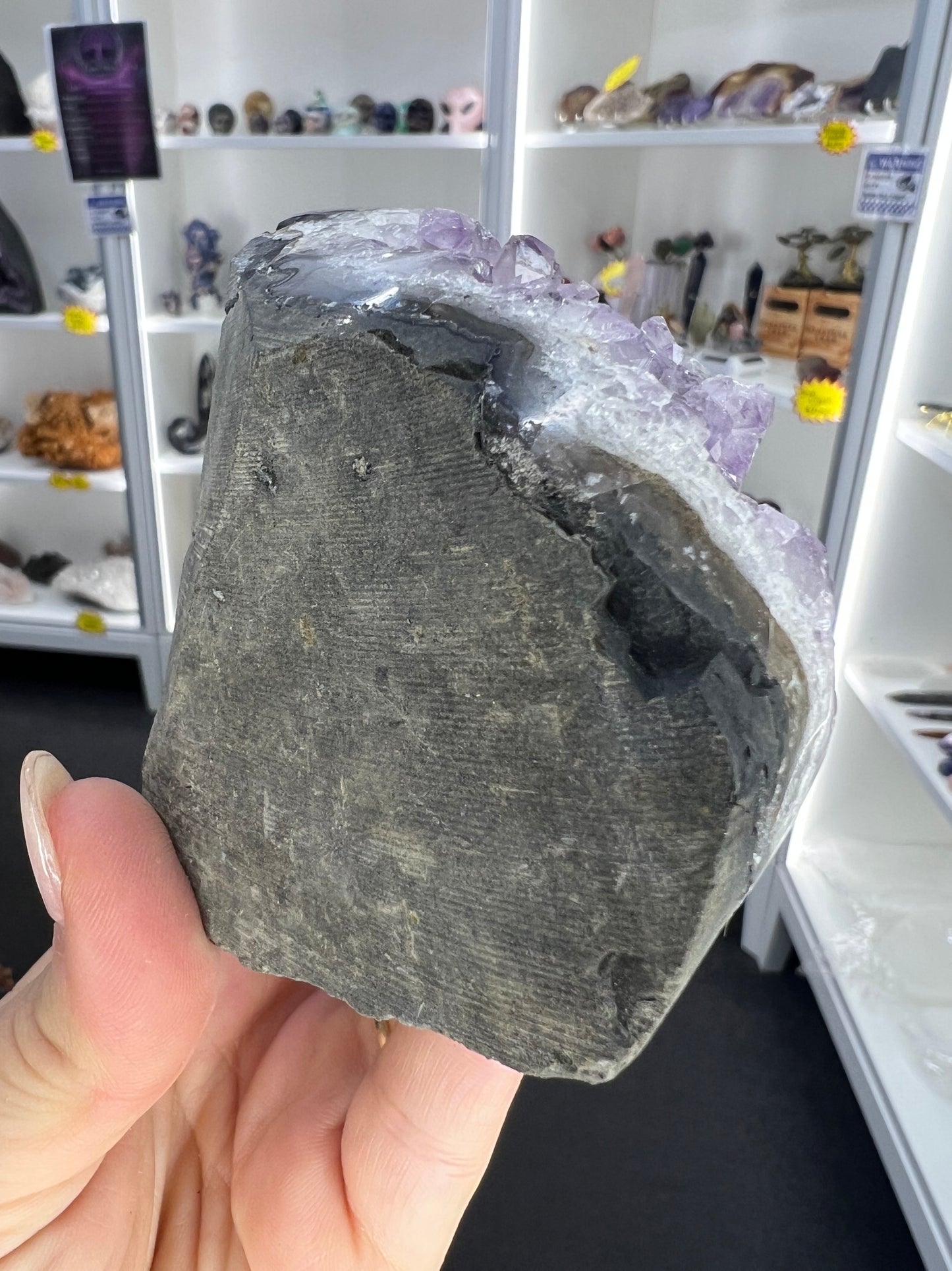 Amethyst Cluster Specimen