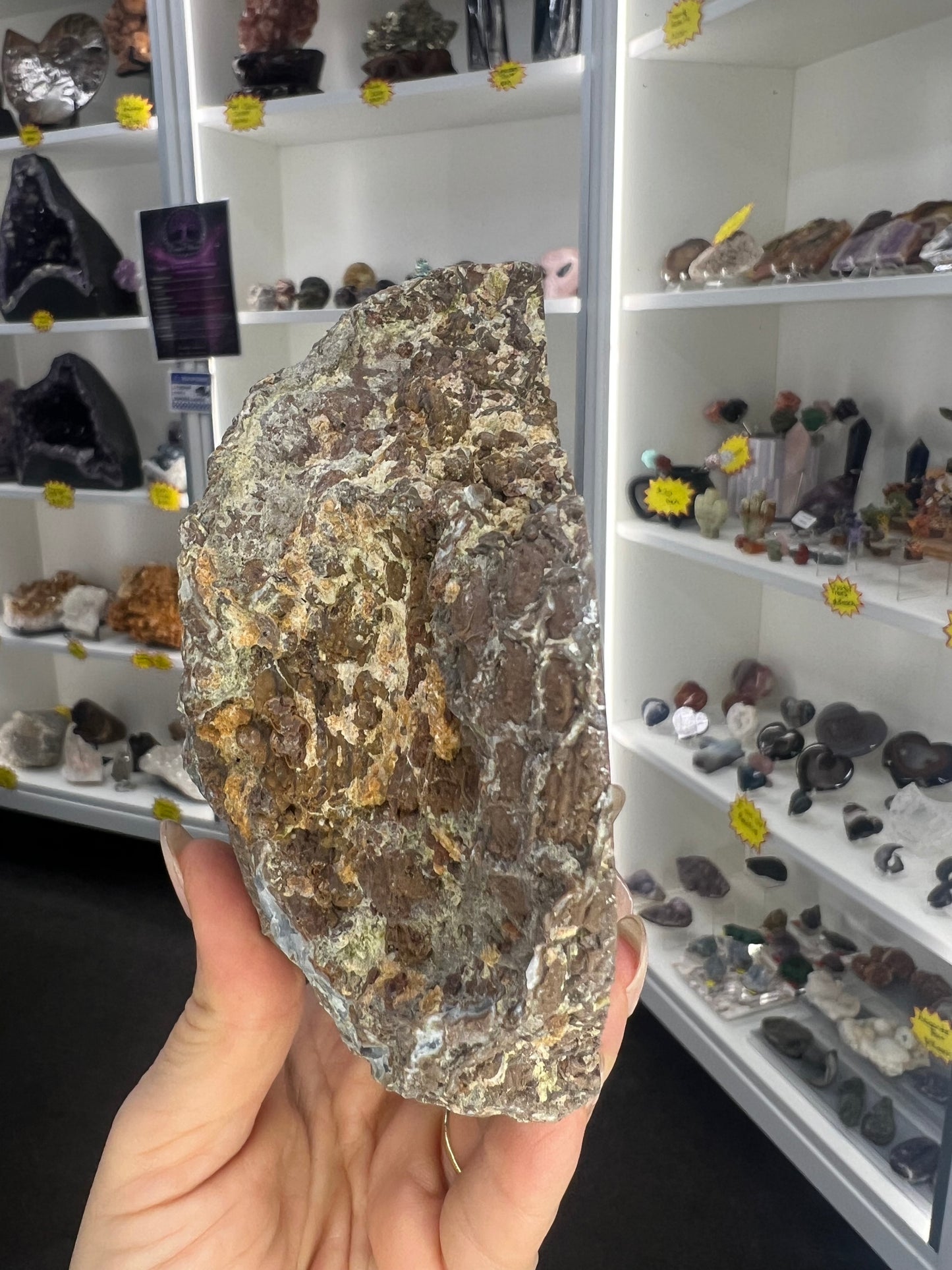 Dugway Agate