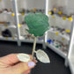 Fluorite Forever Rose
