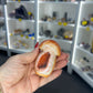 Carnelian Mushroom
