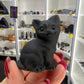 Black Obsidian Cat