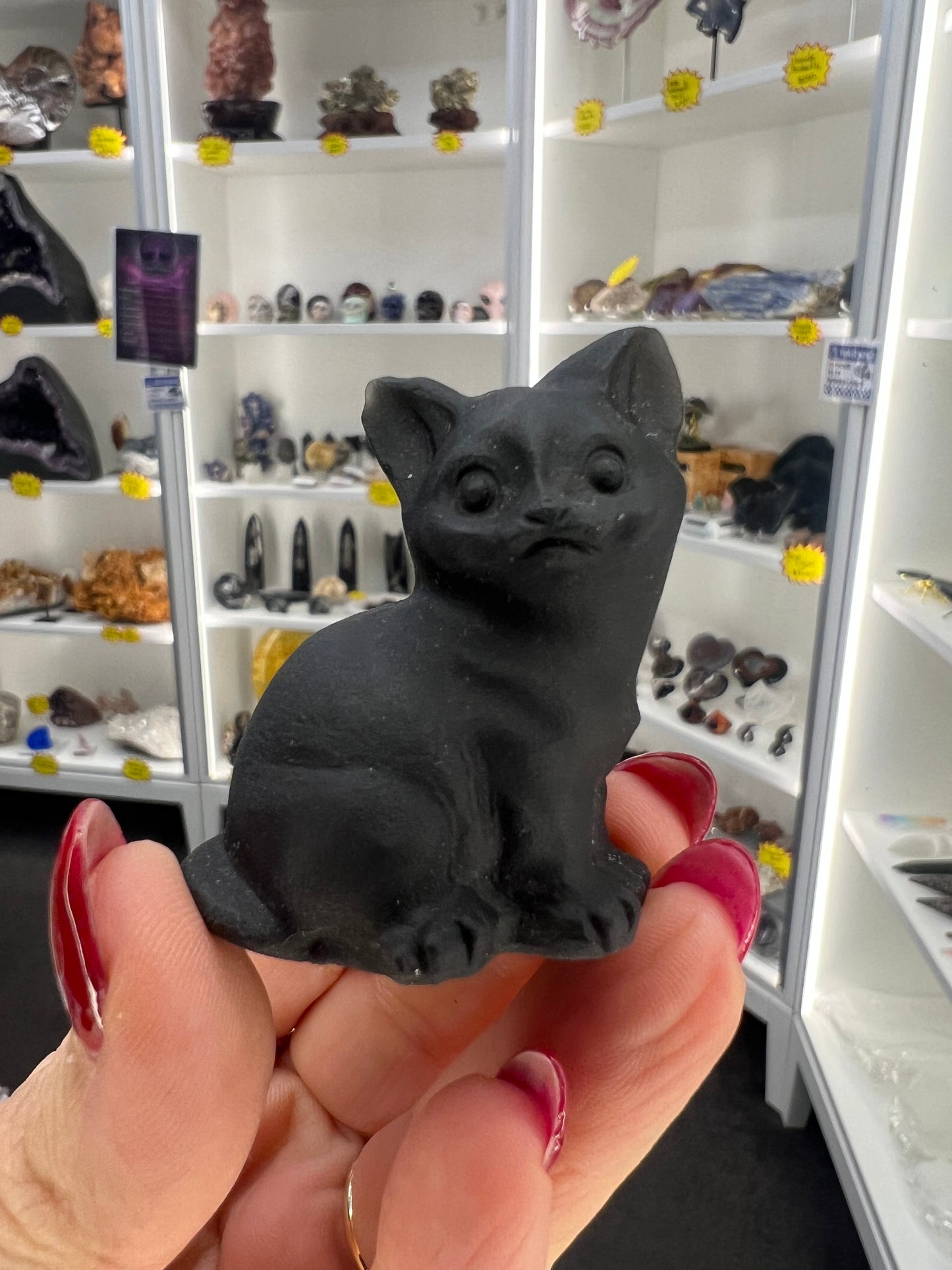 Black Obsidian Cat