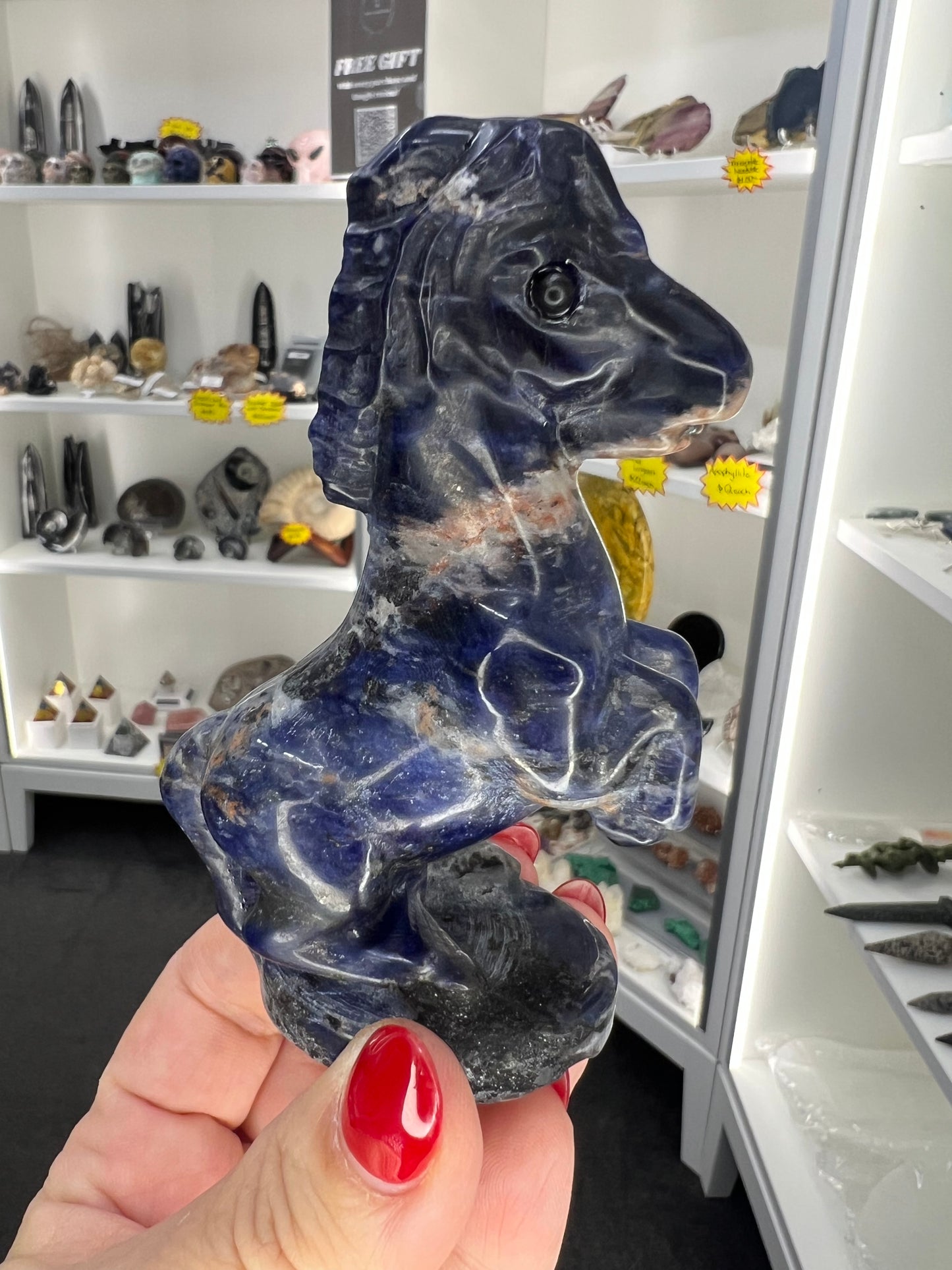Sodalite Horse