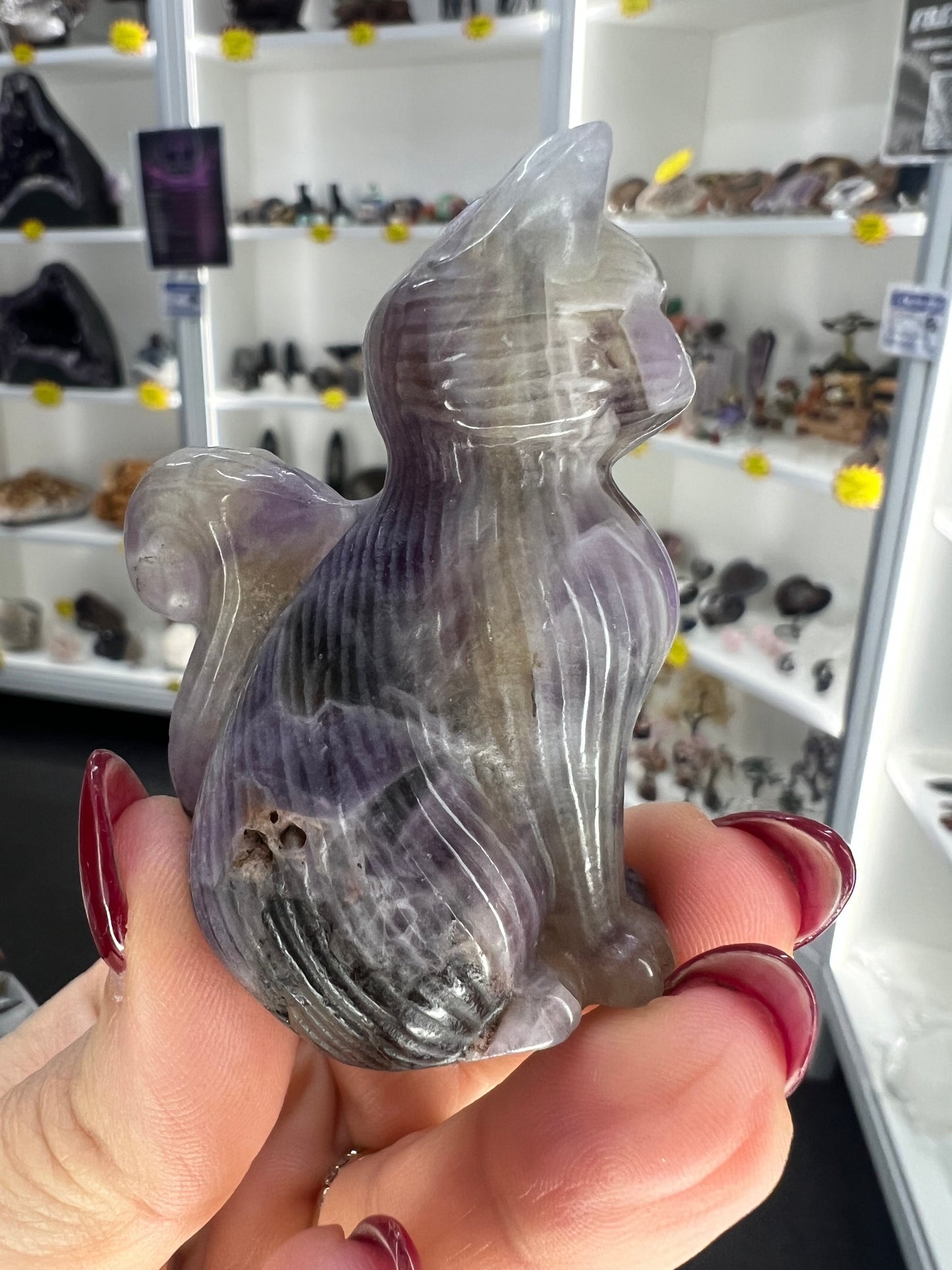 Chevron / Dream Amethyst Cat