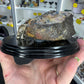 Boulder Opal with Dinosaur